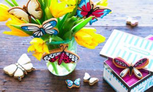 Biscuiteers butterfly tin