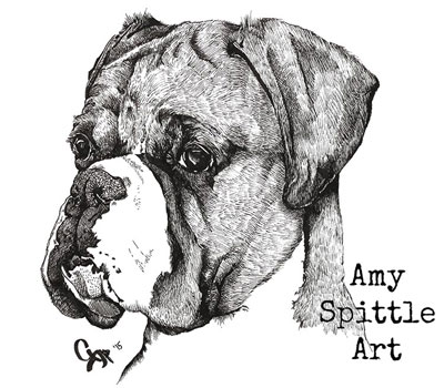 Amy Spittle Art boxer