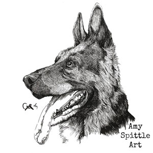 Amy Spittle Art German-Shepherd