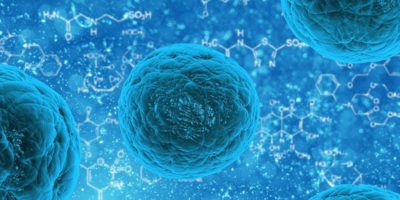 Stem cells