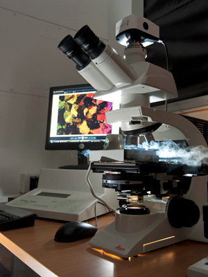 X-ray-crystallography
