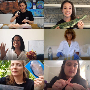 Soapbox Science Zoom speaker collage