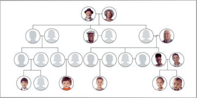 Baines Family Tree - University of Leeds